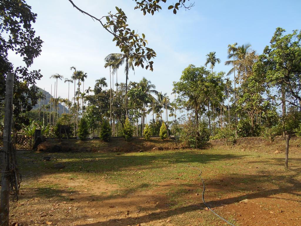 White Water Woods Resort Vythiri Exterior photo